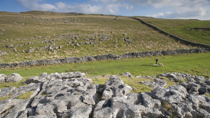 A shot on the Pennine Way with a man walking two dogs in the distance on a sunny day